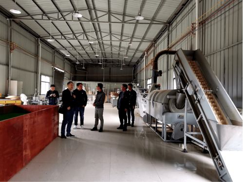 科技项目现场核查与信息技术咨询服务 助力企业高效申报科技项目